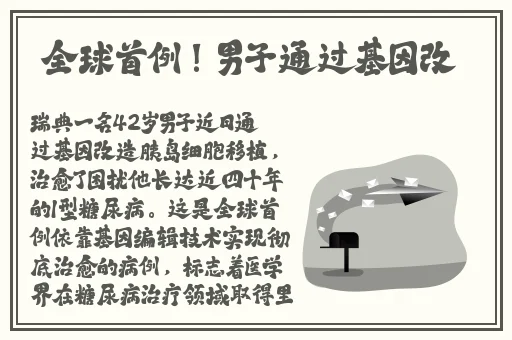 三及片红楼梦